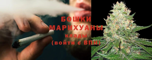 индика Лихославль