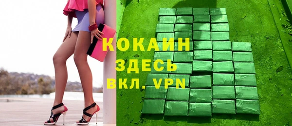 индика Лихославль
