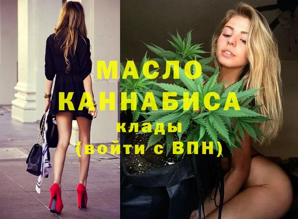 индика Лихославль