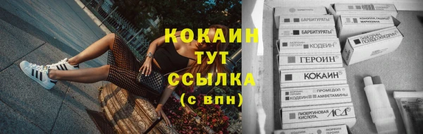 герыч Новодвинск