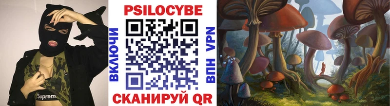 Псилоцибиновые грибы MAGIC MUSHROOMS где можно купить наркотик Тарко-Сале